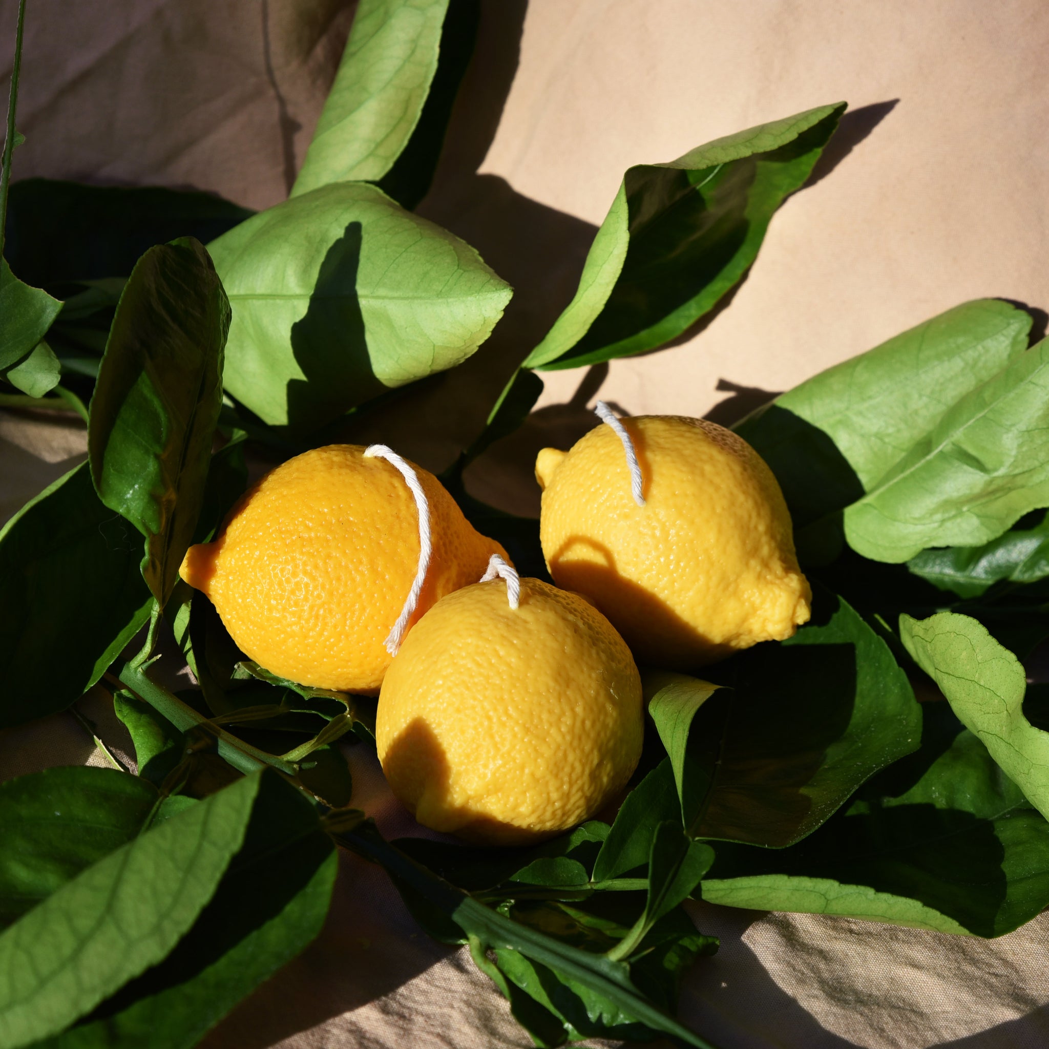 Merry, Lemon + Juniper Coconut Wax Candle *PREORDER - SHIPS WEEK OF 11/6*